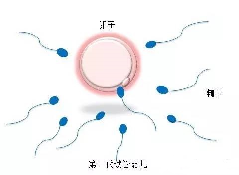 赵主任